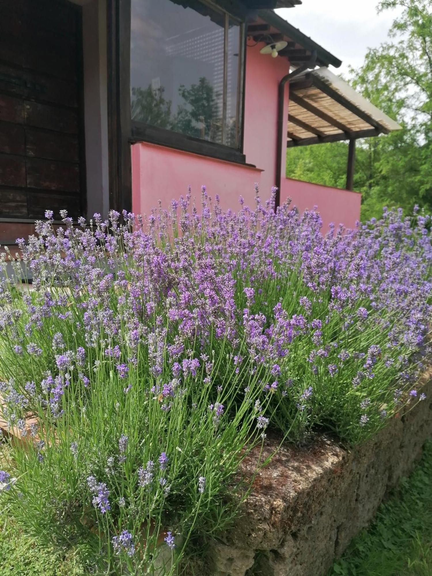 Agriturismo Campolungo Sant'Ermo Exteriör bild